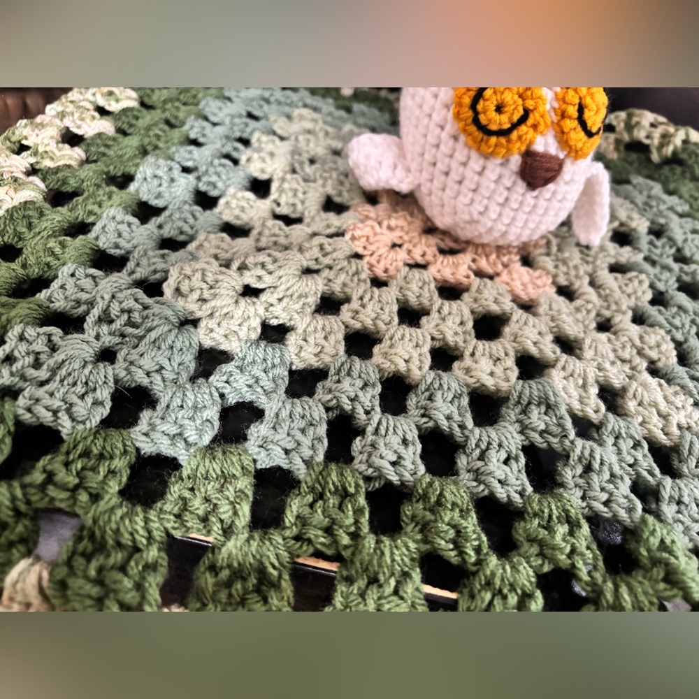 Hand Crafted Crochet Owl on Green Blanket